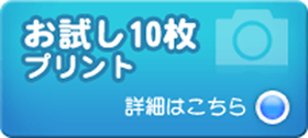 お試し10枚プリント